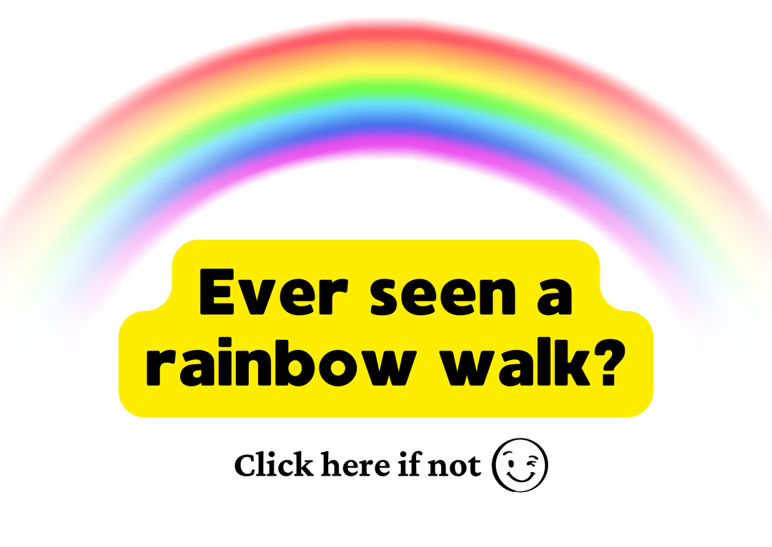 How to Make a Walking Rainbow